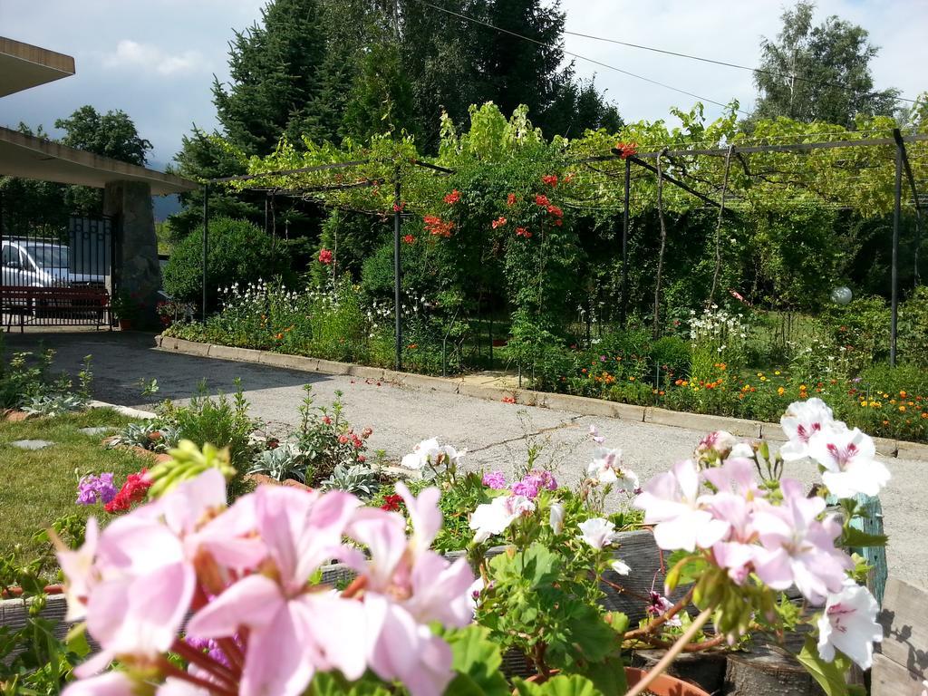 Camping Verila Hotel Sapareva Banya Buitenkant foto